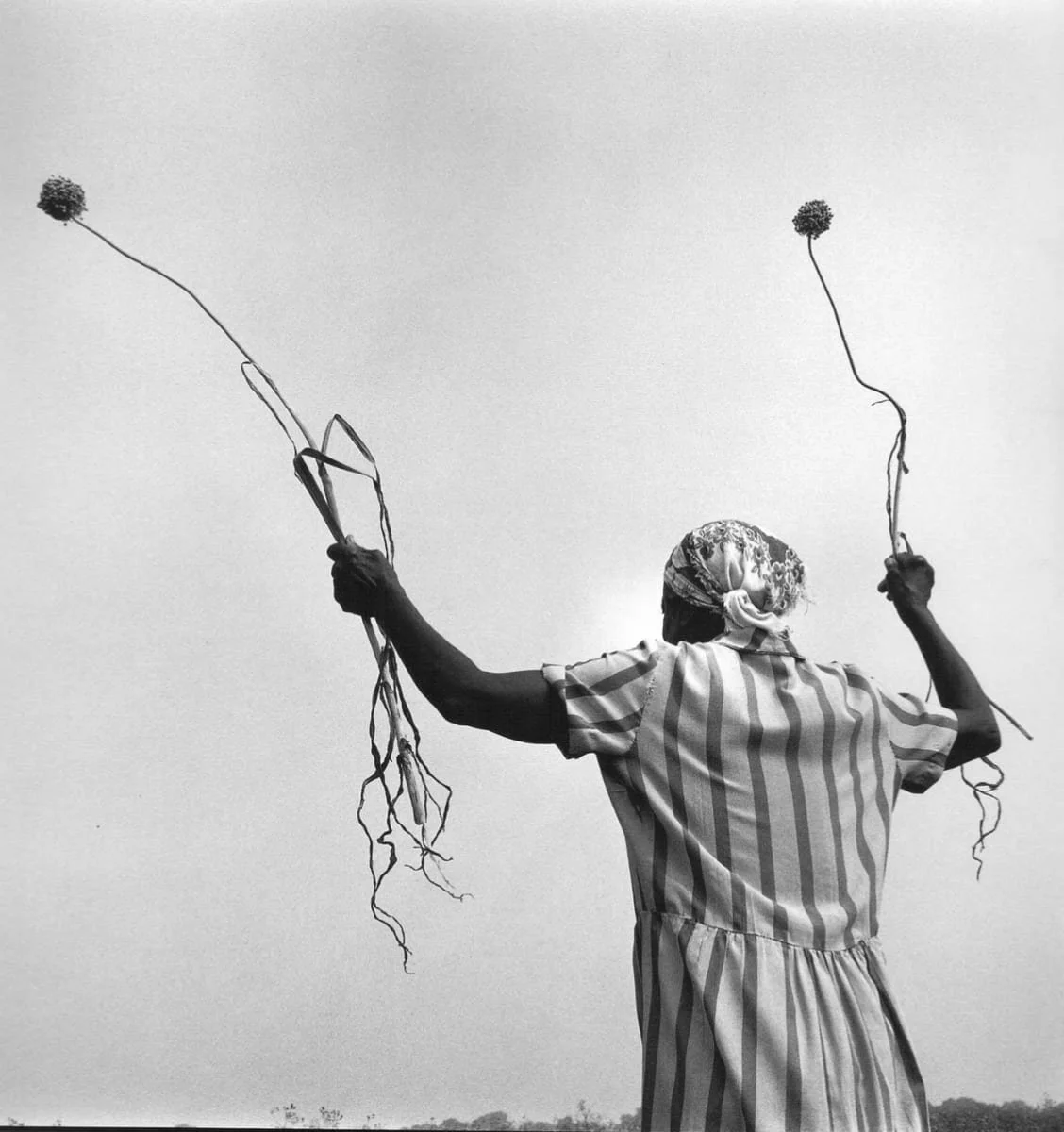 Keith Carter — THE DO GOOD FUND